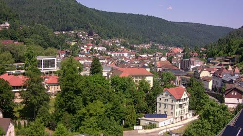 Webcam Bad Wildbad