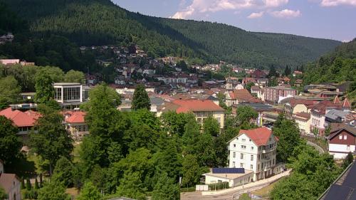 Webcam Bad Wildbad