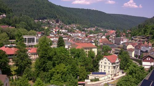 Webcam Bad Wildbad