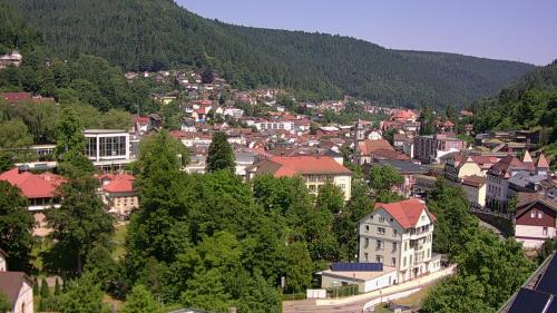 Webcam Bad Wildbad