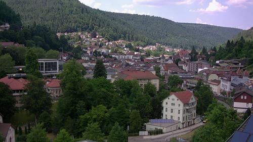 Webcam Bad Wildbad