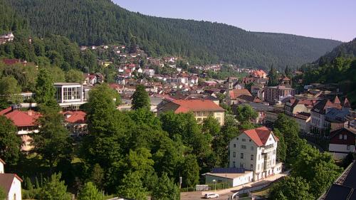 Webcam Bad Wildbad