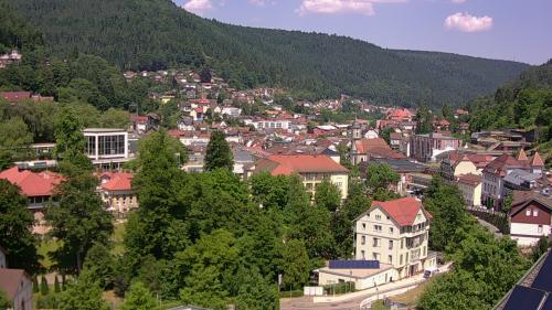Webcam Bad Wildbad