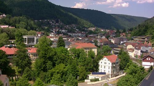 Webcam Bad Wildbad