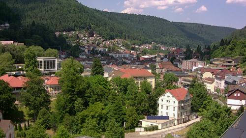 Webcam Bad Wildbad