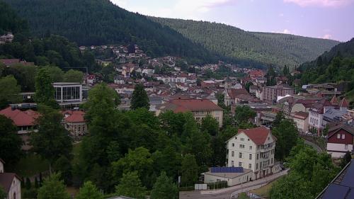 Webcam Bad Wildbad
