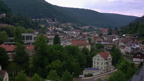 Webcam Bad Wildbad