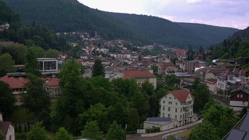 Webcam Bad Wildbad