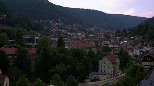 Webcam Bad Wildbad