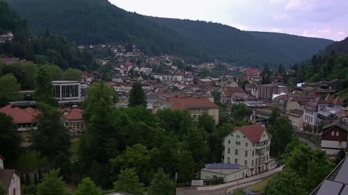 Webcam Bad Wildbad