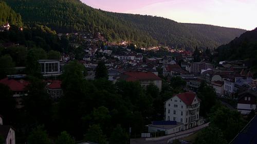 Webcam Bad Wildbad