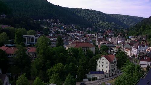 Webcam Bad Wildbad