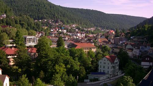 Webcam Bad Wildbad