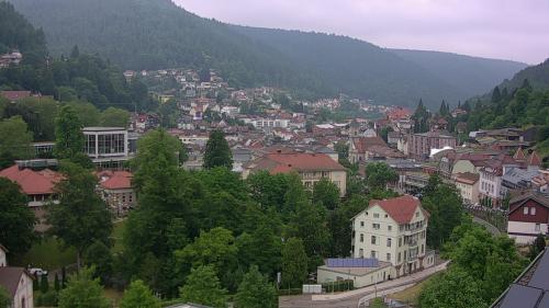 Webcam Bad Wildbad