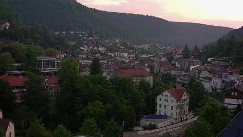 Webcam Bad Wildbad