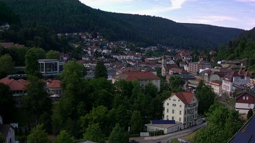 Webcam Bad Wildbad