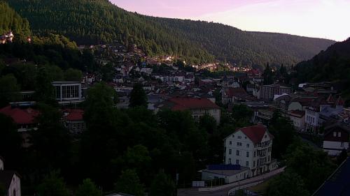 Webcam Bad Wildbad