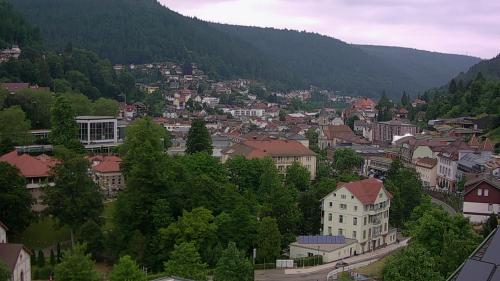 Webcam Bad Wildbad