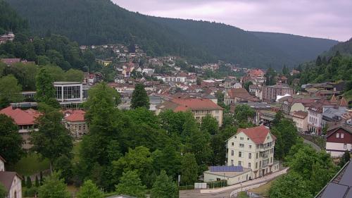 Webcam Bad Wildbad