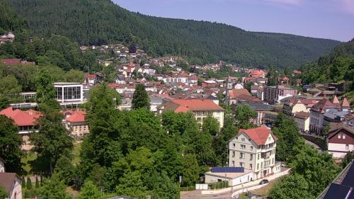 Webcam Bad Wildbad