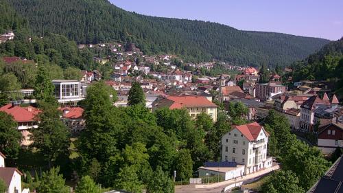 Webcam Bad Wildbad