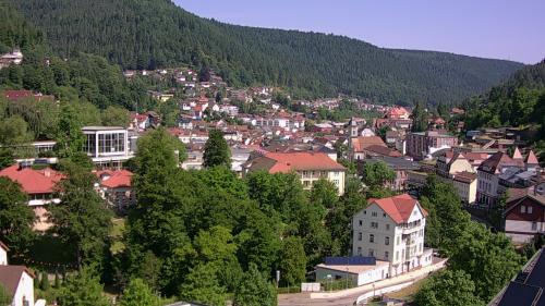 Webcam Bad Wildbad