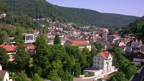 Webcam Bad Wildbad
