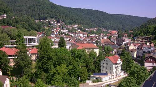Webcam Bad Wildbad