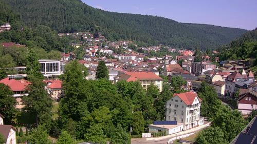 Webcam Bad Wildbad
