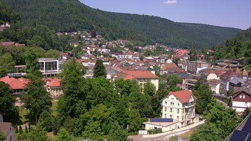 Webcam Bad Wildbad