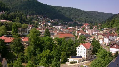 Webcam Bad Wildbad