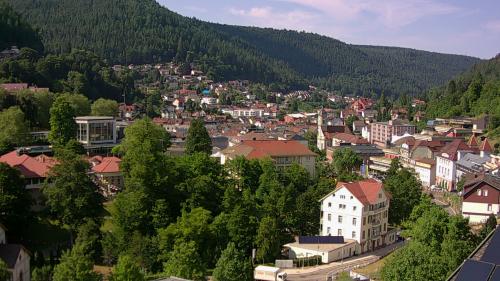Webcam Bad Wildbad