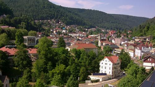 Webcam Bad Wildbad
