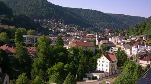 Webcam Bad Wildbad
