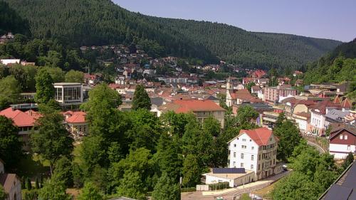 Webcam Bad Wildbad