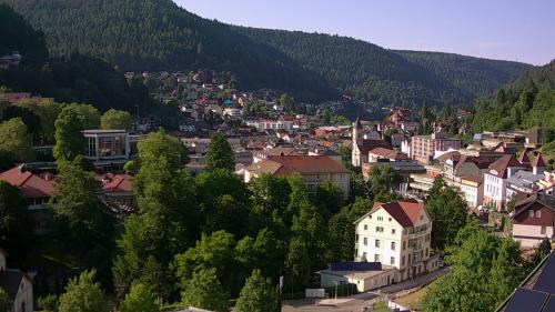 Webcam Bad Wildbad
