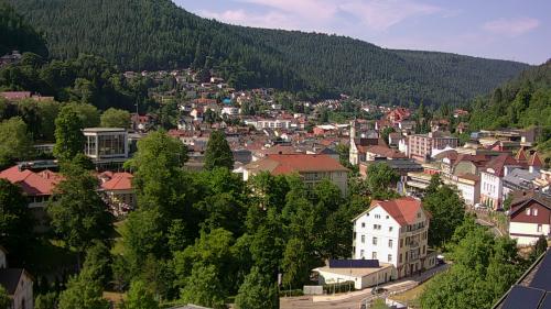 Webcam Bad Wildbad