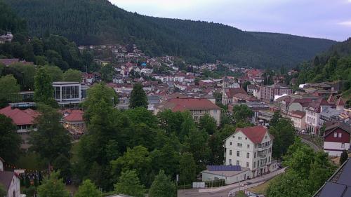 Webcam Bad Wildbad