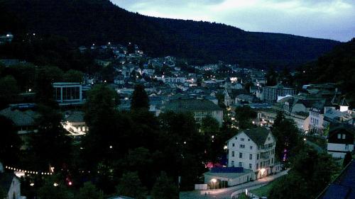 Webcam Bad Wildbad