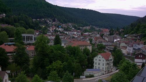 Webcam Bad Wildbad