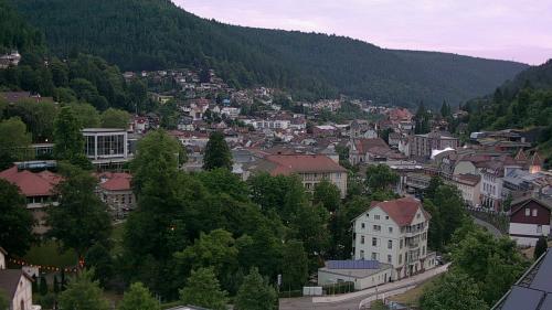 Webcam Bad Wildbad