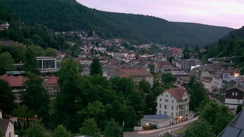 Webcam Bad Wildbad