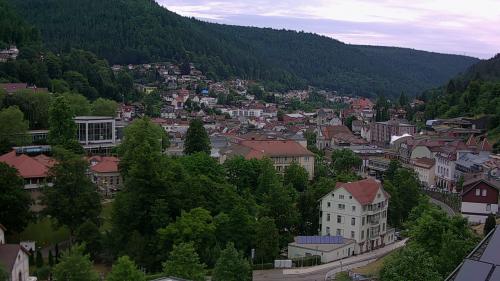 Webcam Bad Wildbad
