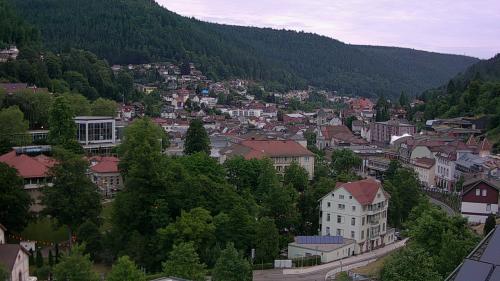 Webcam Bad Wildbad