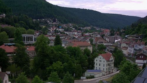 Webcam Bad Wildbad