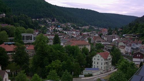 Webcam Bad Wildbad