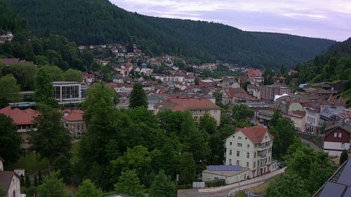 Webcam Bad Wildbad
