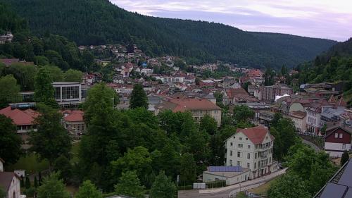 Webcam Bad Wildbad