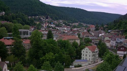 Webcam Bad Wildbad