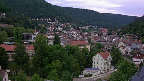 Webcam Bad Wildbad